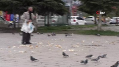   Evine aldığı ekmeği güvercinlere verdi