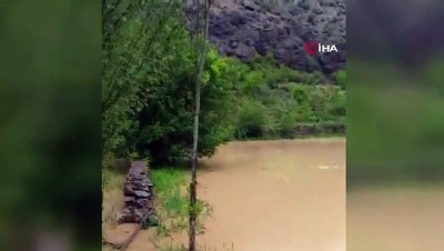 saganak yagmur -  Erzurum'a ilk kez ekilen lavanta tarlaları sel suları altında kaldı Videosu