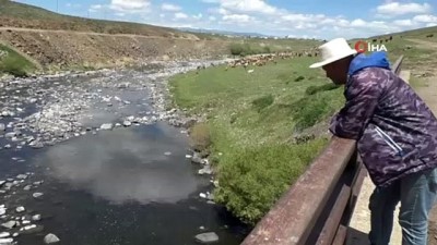 balik tutma -  Kars Çayı’nda sular çekildi, balıklar mahsur kaldı Videosu