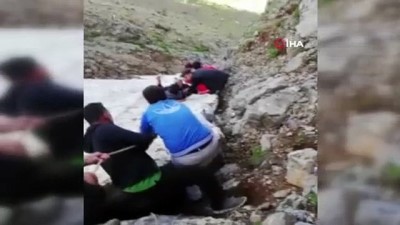 Kayalıklardan düşen şahıs kurtarıldı