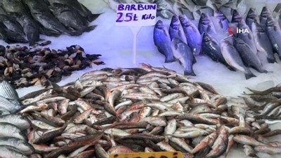 alim gucu -  Korona virüs balık fiyatlarını düşürdü Videosu