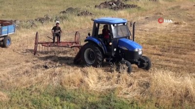 sonbahar -  Şanlıurfa'da mercimek hasadı şiddetli yağmur ve doludan dolayı sıkıntılı başladı Videosu