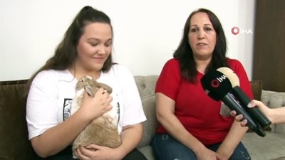 hayvan severler -  Ezber bozan sevimli tavşan ‘Reis’ Videosu