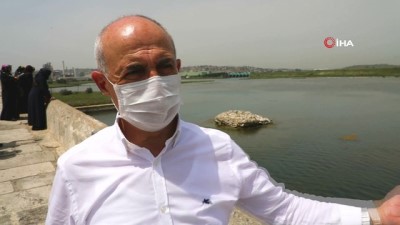 isaf -  - Sumru kuşları 2 yıl sonra geri döndü Videosu