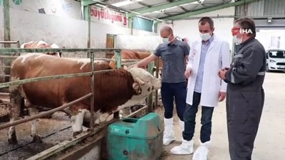 sut ureticisi -  Besi ve süt üreticisi korona virüse rağmen talepleri karşılamakta zorlanıyor Videosu