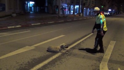  Polis memuruyla köpeğin gülümseten görüntüleri