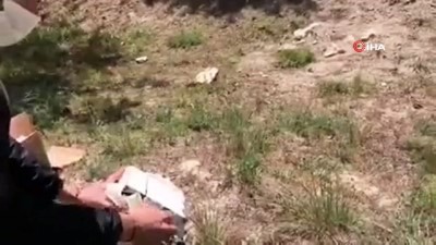  Tedavisi tamamlanan Sincap özgürlüğüne kavuştu