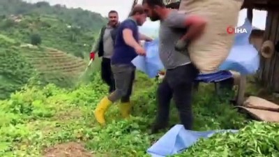 cay fabrikasi -  İmece usulü ile çay toplayarak gelirini belediyeye bağışladılar Videosu