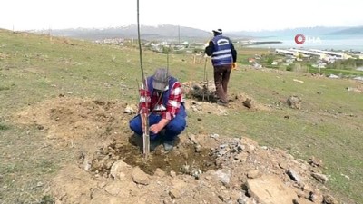  Erciş Belediyesinden meyve bahçesi