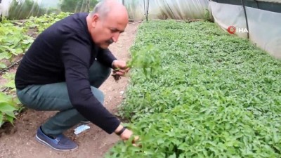  65 yaş üzeri vatandaşın bahçe bakımını belediye ekipleri yapacak
