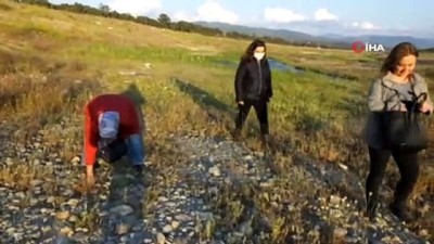 kazanci -  Balıkesir'de hıdrellez kutlamalarına virüs engeli Videosu