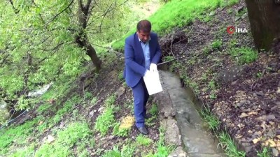 semender -  Şırnak'ta görülen ölü semenderler, araştırılmak üzere Ankara'ya gönderilecek Videosu