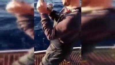 balik avi -  Amatör balıkçısının oltasına dev trança takıldı Videosu