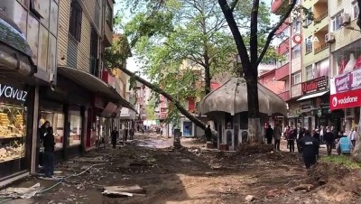 sadaka -  Çınar ağacı binanın üzerine yıkıldı Videosu
