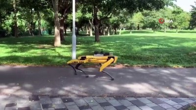 robot -  - Singapur’dan koronaya karşı “robot köpek” önlemi Videosu