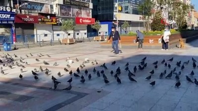 logos -  PTT çalışanları güvercinleri unutmadı Videosu