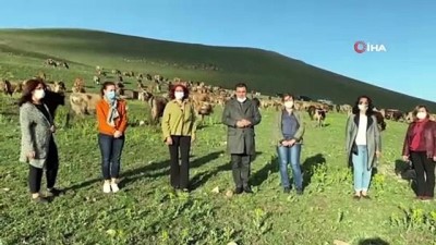 hanli -  Ardahan’dan İzmir’e et sevkiyatı başladı Videosu