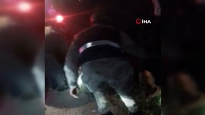  Jandarmadan inek kurtarma operasyonu