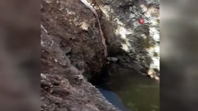  Kuyuya düşen kedi branda ile kurtarıldı