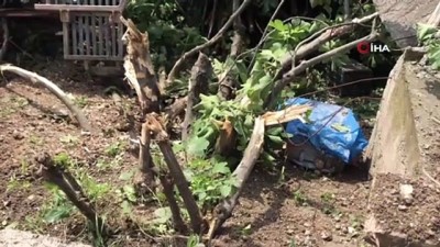  Virajı alamayan vinç devrildi