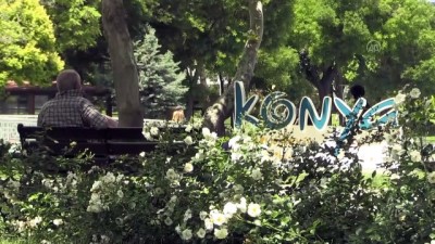 gunesli hava - 65 yaş üstü vatandaşlar kısıtlamanın esnetilmesinden memnun - KONYA Videosu