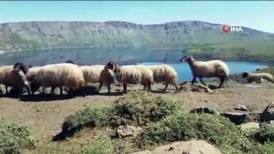 kis turizmi -  Doğaseverler Nemrut Gölü’nün çevresini 12 saatte turladı Videosu