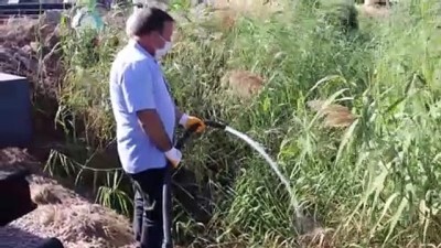 yol yapimi - Bodrum'da yol için kapatılmaya çalışılan azmaktaki canlılar can suyuyla kurtarıldı - MUĞLA Videosu