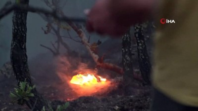   Taşova’da örtü yangını