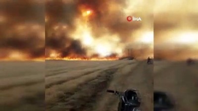 tarim arazisi -  - Terör örgütü YPG/PKK, 20 bin dönüm tarım arazisini yaktı Videosu
