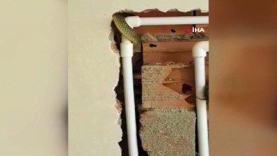  Bayılan işçinin yanına koşup tuğlaların içinde yılanla karşılaştılar