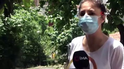 suc duyurusu -  Beşiktaş'ta vatandaşların yol isyanı Videosu