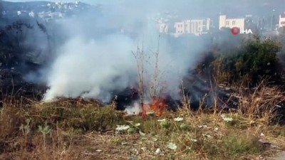 yangin yeri -  Bodrum'da otluk alanda yangın Videosu