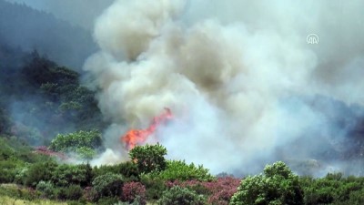 ormanli - Söke'de çıkan orman yangınına karadan ve havadan müdahale ediliyor - AYDIN Videosu