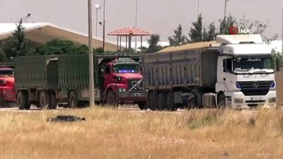 kisla -  Suriye’den Türkiye'ye hububat ithal ediliyor Videosu