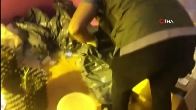 uyusturucu tarlasi -  Tuzla’da evini uyuşturucu tarlasına çeviren şahıs yakalandı Videosu