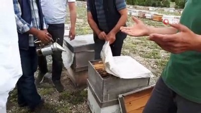  Gezgin arıcılar Emet'te buluştu