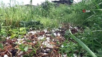  Kars’ta dolu yağışı hayatı olumsuz etkiledi