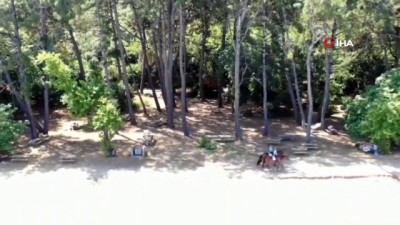 motorlu tasit -  Kuşadası’ndaki milli parkın sahilleri atlı jandarma timine emanet Videosu