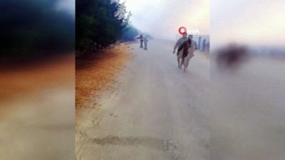 tarim arazisi -  - Resulayn'da tarım arazilerinde çıkan yangın evlere sıçradı Videosu