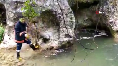  Dereye düşen köpeği itfaiye kurtardı