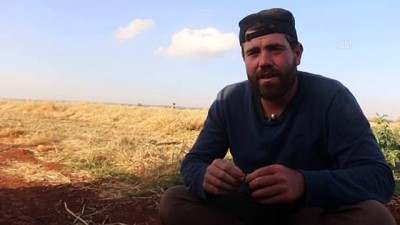 cocuk isci - İdlib'de saldırı ve göç, buğday hasadını olumsuz etkiledi Videosu