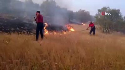 ormanli -  Mardin'de ormanlık alanda yangın Videosu