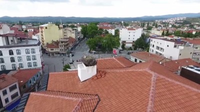 leylek yuvasi - Sındırgı Belediyesinin çatısındaki leylek ilçenin sembolü oldu - BALIKESİR Videosu