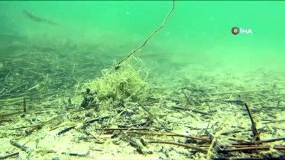 dis gorunus -  Tödürge gölü su altı görüntüleri ile büyüledi Videosu