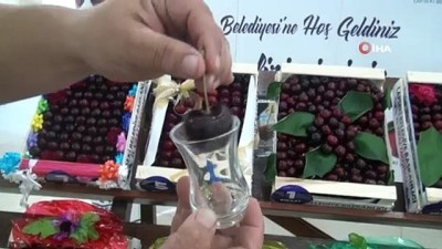 para odulu -  Çay bardağının boğumundan geçmeyen kirazlar birbirleriyle yarıştı Videosu
