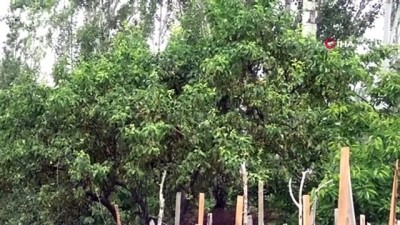 kucuk kiz -  Küçük kız köye düşen yıldırımı böyle görüntüledi...  'Bomba düşmüş gibi korktuk' Videosu