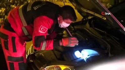 itfaiye araci -  Otomobilin motor bölümüne sıkışan gelincik kurtarıldı Videosu