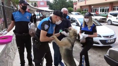 sokak kopekleri -  Polis 'can dostları' unutmadı Videosu