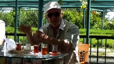 leman -  Adıyaman'da şeker otu tütüne alternatif olacak Videosu