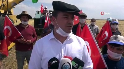  Aksaray'da arpa hasadı başladı